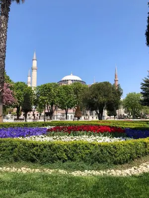 a garden of flowers with a mosque in the background at Nomade Old City Hotel in Istanbul