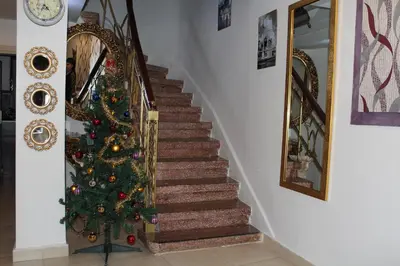 a christmas tree on the stairs of a house at Masal Hotel in Buyukada