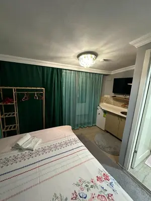 a bedroom with a bed and a green curtain at Nelly Guesthouse in Istanbul