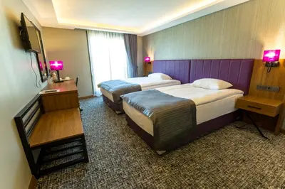 a hotel room with two beds and a television at BUSINESSPALAS DELUXE in Izmit