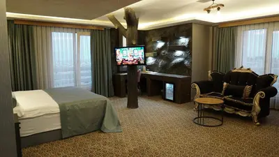 a hotel room with a bed and a tv at Green Prusa Hotel in Bursa