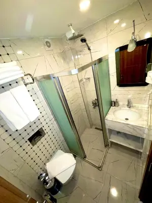 a bathroom with a toilet and a sink and a shower at Zem Hotel in Istanbul