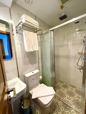a bathroom with a shower and a toilet and a sink at Zem Hotel in Istanbul