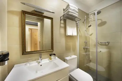 a bathroom with a sink and a toilet and a shower at Meroddi Galata Flats in Istanbul
