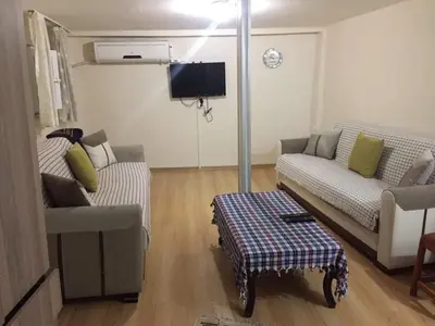 a living room with two couches and a tv at Çatı Apartment in Istanbul