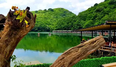 a view of a body of water with a tree log at Beach Butik Hotel Şile in Istanbul