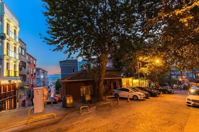 a street with a tree and cars parked on the street at City Hall Hotel Sultanahmet in Istanbul