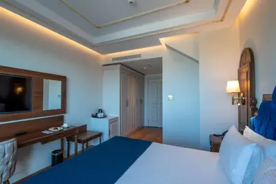 Gallery image of Bvs Bosphorus Pera Hotel in Istanbul