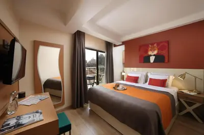 a hotel room with a large bed and a television at The Fox Hotel in Istanbul