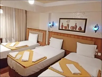 Gallery image of Istanbul Sydney Hotel in Istanbul