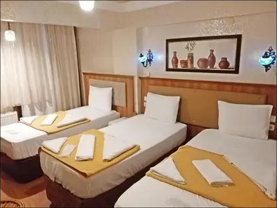 Gallery image of Istanbul Sydney Hotel in Istanbul