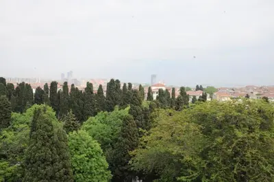 a forest of trees with buildings in the background at Hotel Kuk in Istanbul