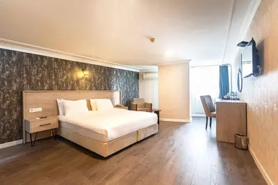 a hotel room with a bed and a desk and chair at Marina Park Hotel in Istanbul