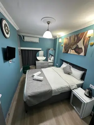 a bedroom with a large bed and a mirror at Ada Apart Hotel in Istanbul