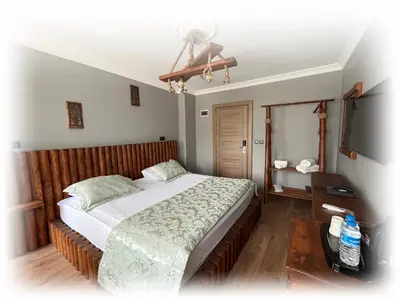 a bedroom with a large bed and a television at Senler Boutique Hotel in Sapanca