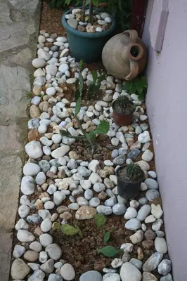 a garden with rocks and potted plants on it at Sapphire Hotel in Agva