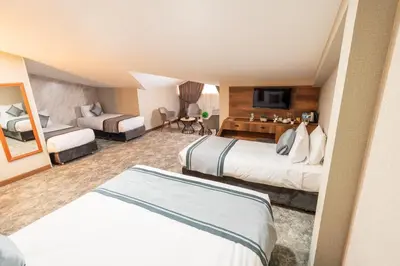 a hotel room with two beds and a television at Istanbul Airport Express Hotel in Arnavutköy
