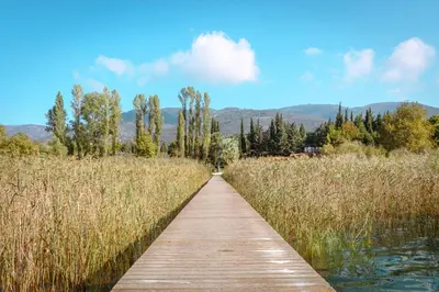 a wooden boardwalk through a field of tall grass at The Lake House in Boyalıca