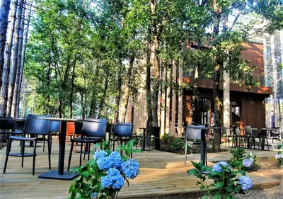 a group of chairs and tables on a deck with trees at LONGOSPHERE GLAMPING in Kırklareli