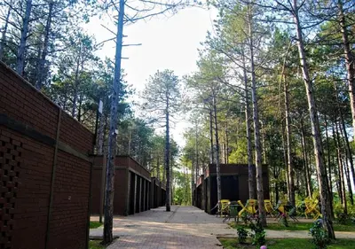 a building in a forest with tables and chairs at LONGOSPHERE GLAMPING in Kırklareli