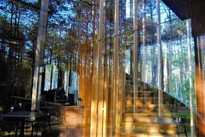 a glass walled room with tables and tables and trees at LONGOSPHERE GLAMPING in Kırklareli