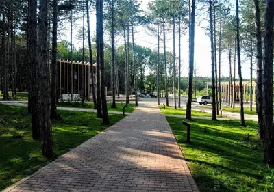 a path in a park with trees and grass at LONGOSPHERE GLAMPING in Kırklareli