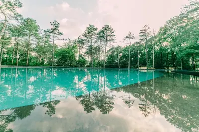 a pool of water with trees in the background at LONGOSPHERE GLAMPING in Kırklareli