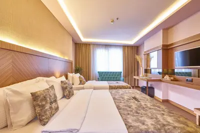 Gallery image of Atro Hotel in Istanbul