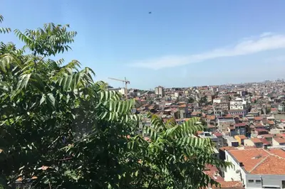 a view of a city with buildings and a tree at Taksim Roya Apartment -center of the Istanbul in Istanbul