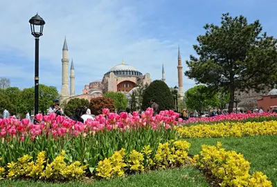 a park with pink and yellow flowers in front of a mosque at Henna Hotel Istanbul in Istanbul