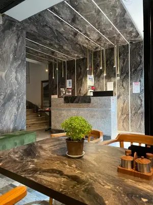 a table with a potted plant on top of it at Taksim Galatist Hotel in Istanbul