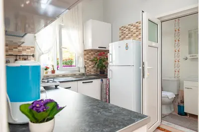 a kitchen with a refrigerator and a sink at Dualis Hotel in Istanbul