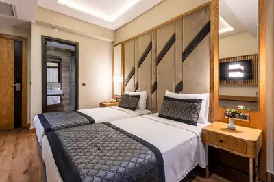 a hotel room with two beds and a television at Endican Sultanahmet Hotel in Istanbul