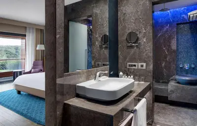 a bathroom with a sink and a bed and a mirror at Radisson Blu Hotel & Spa, Istanbul Tuzla in Istanbul