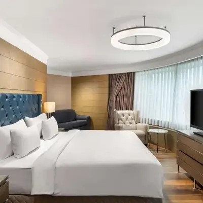 Radisson Blu Hotel