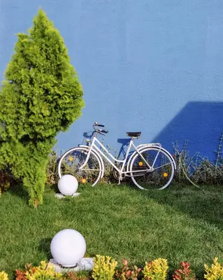 a bike parked in the grass next to a tree at Minimalist Sapanca in Sapanca