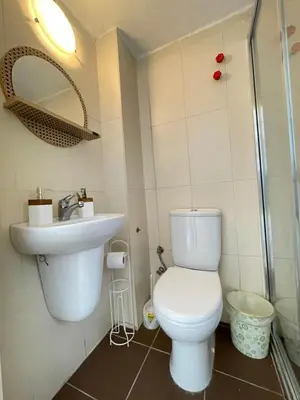 a small bathroom with a toilet and a sink at Ikigai Hotel Villa Rıfat in Adalar