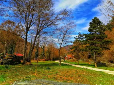 a truck parked in a field with trees at Feel & Live Hotel Villas Restaurant Sapanca in Sakarya