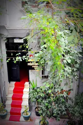 a stairway with a red carpet and a black door at Mimoza İstiklal Apart Hotel in Istanbul