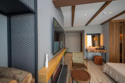 a living room with a couch and a tv at Villa Siesta Hotel Istanbul Airport in Karaburun