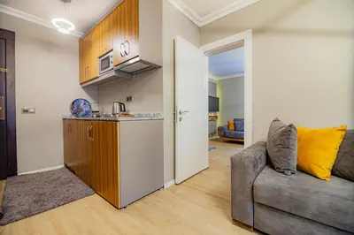 a living room with a couch and a kitchen at La Palace Exclusive Design in Istanbul