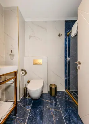 a bathroom with a toilet and a glass shower at Istanbul Old City Topkapi Porta Romanos Hotel Ottoman Heritage in Istanbul