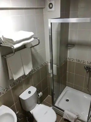 a bathroom with a shower and a toilet and a sink at ERA PALACE HOTEL B BLOK in Istanbul