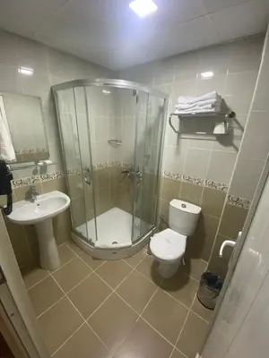 a bathroom with a shower and a toilet and a sink at ERA PALACE HOTEL B BLOK in Istanbul