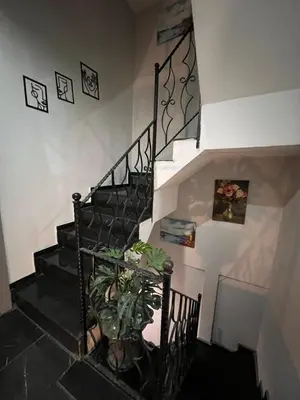 a staircase in a house with a potted plant at Taksim Larissa hotel suites in Istanbul