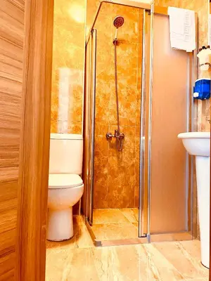 a bathroom with a shower and a toilet and a sink at Miletus Otel Şile in Sile