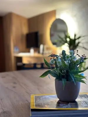 a potted plant sitting on top of a table at KA Hotel & Suites in Istanbul