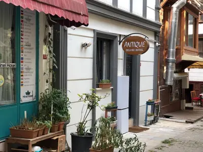 a building with potted plants on the side of it at Antik Houses in Istanbul