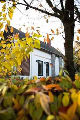 a house with a roof with two cats on top of it at Villa Nora Butik Otel ve Bungalov in Bursa