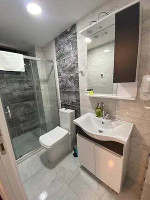 a bathroom with a toilet and a sink and a shower at Mina Life Hotel in Istanbul